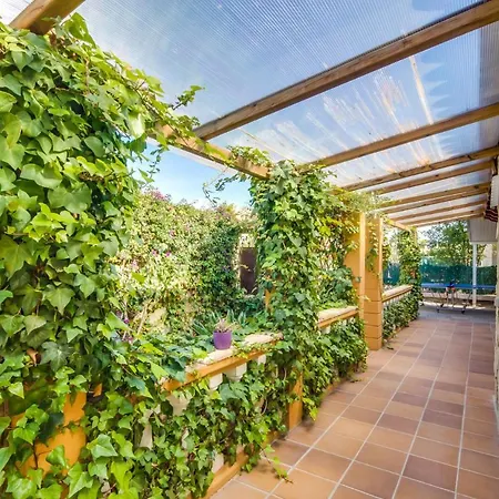 Ideal Mallorca - Casa Paqui Casa vacanze Alcúdia
